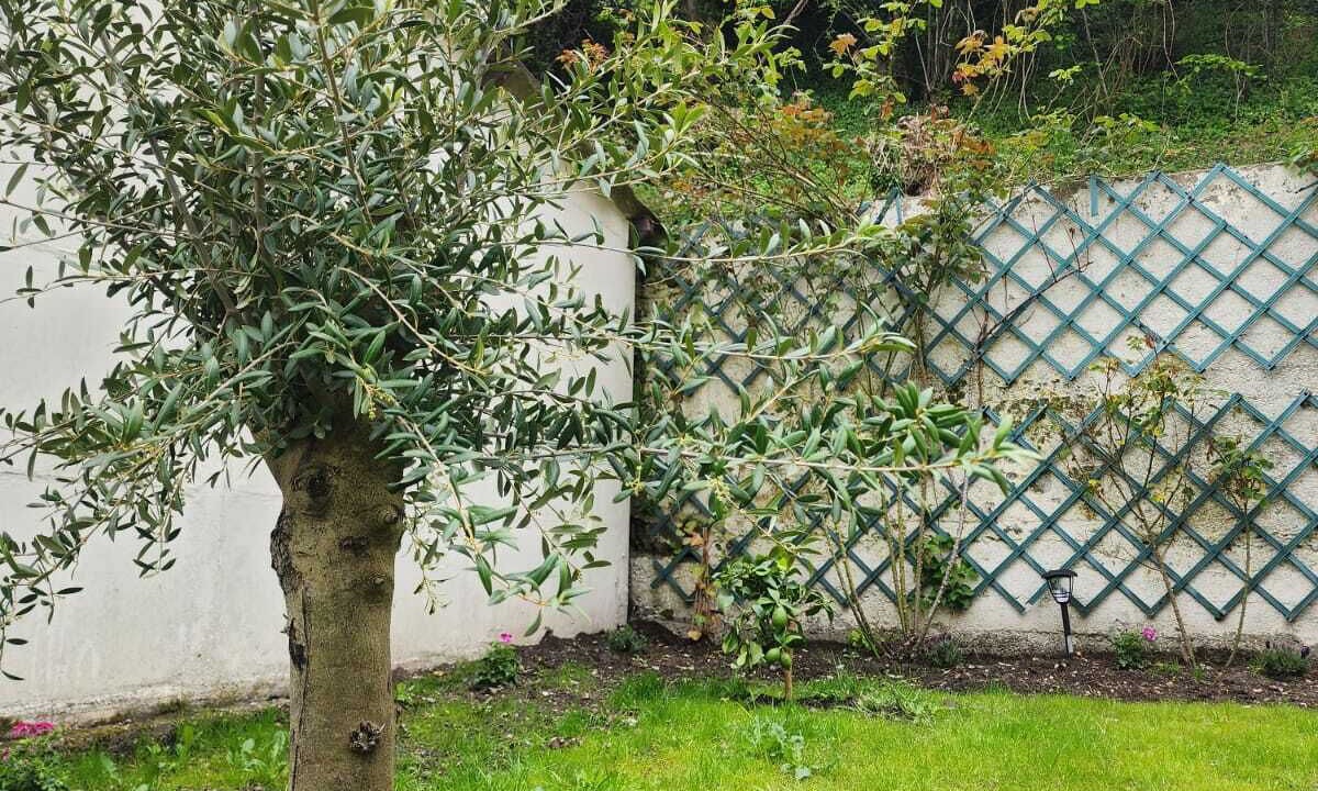 Photo of Outdoor in Cany-Barville