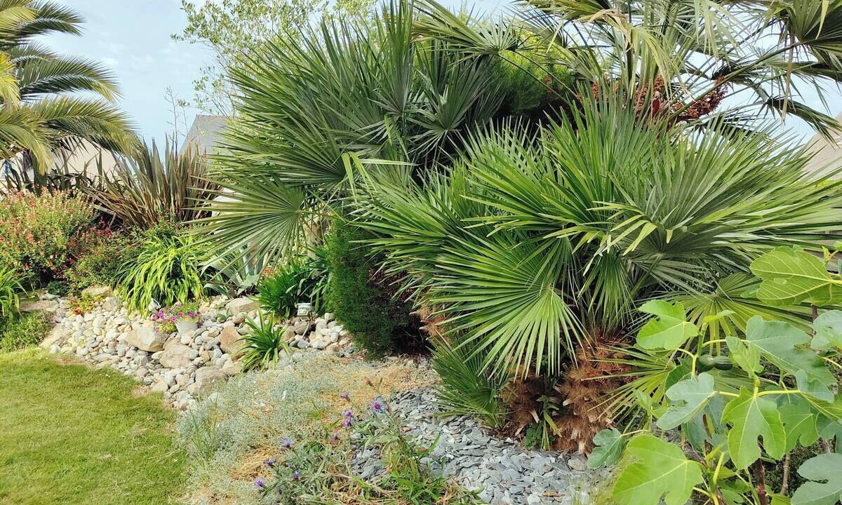 Photo of Outdoor in Pleurtuit