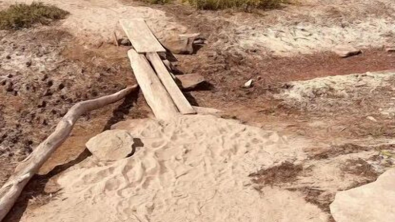 Photo of Others in Pointe-du-Chene