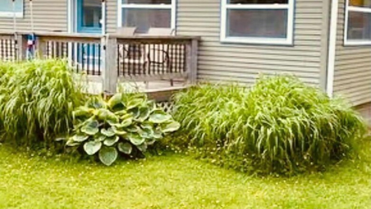 Photo of Outdoor in Pointe-du-Chene