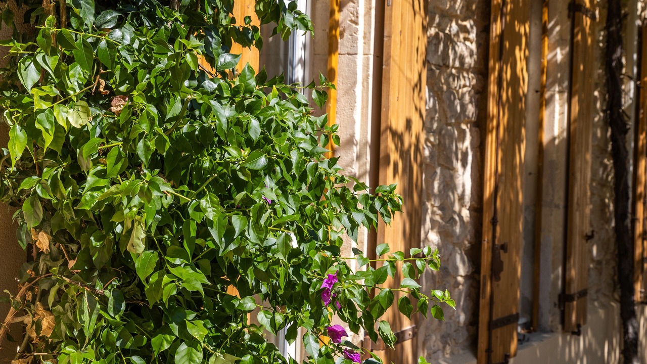 Photo of Outdoor in Orsan