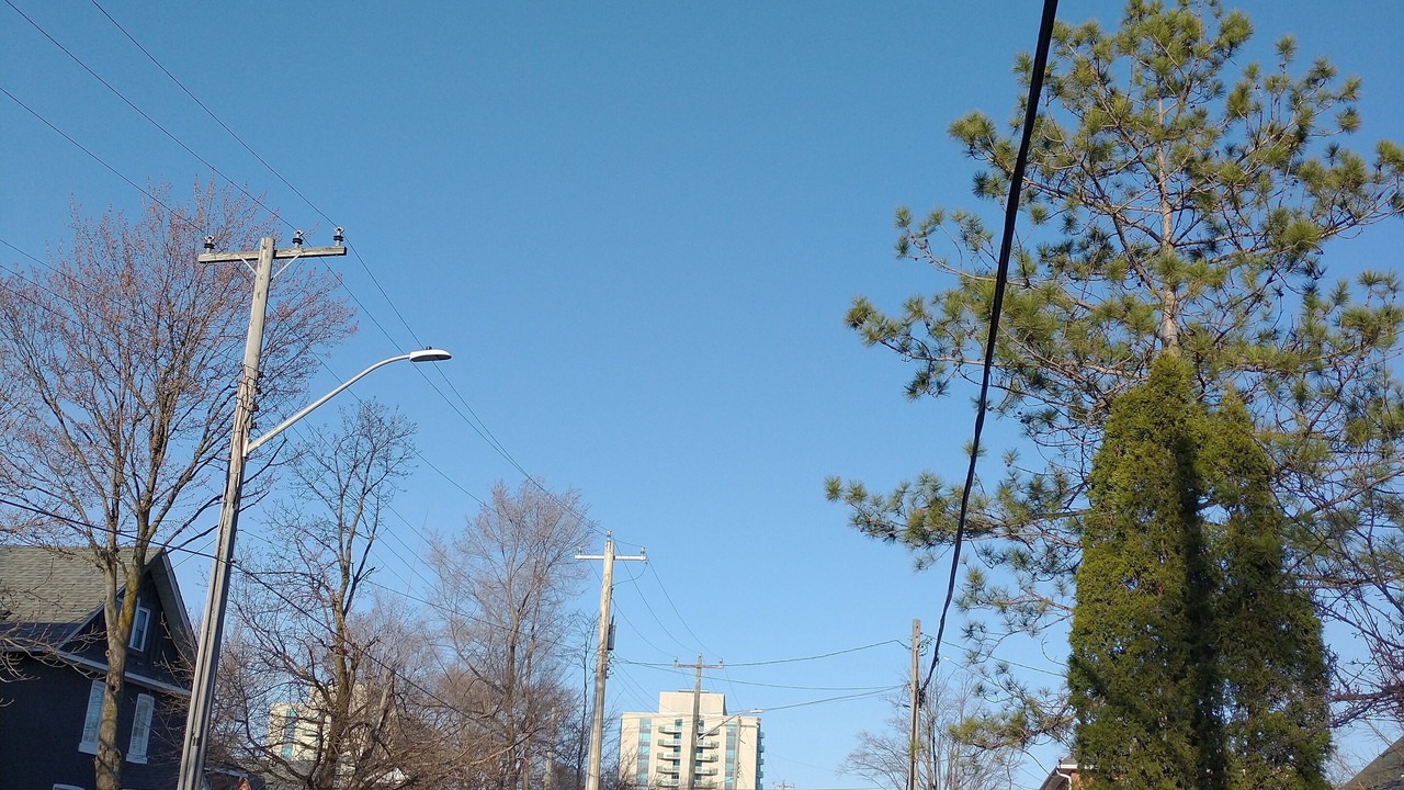 Photo of Others in Barrie