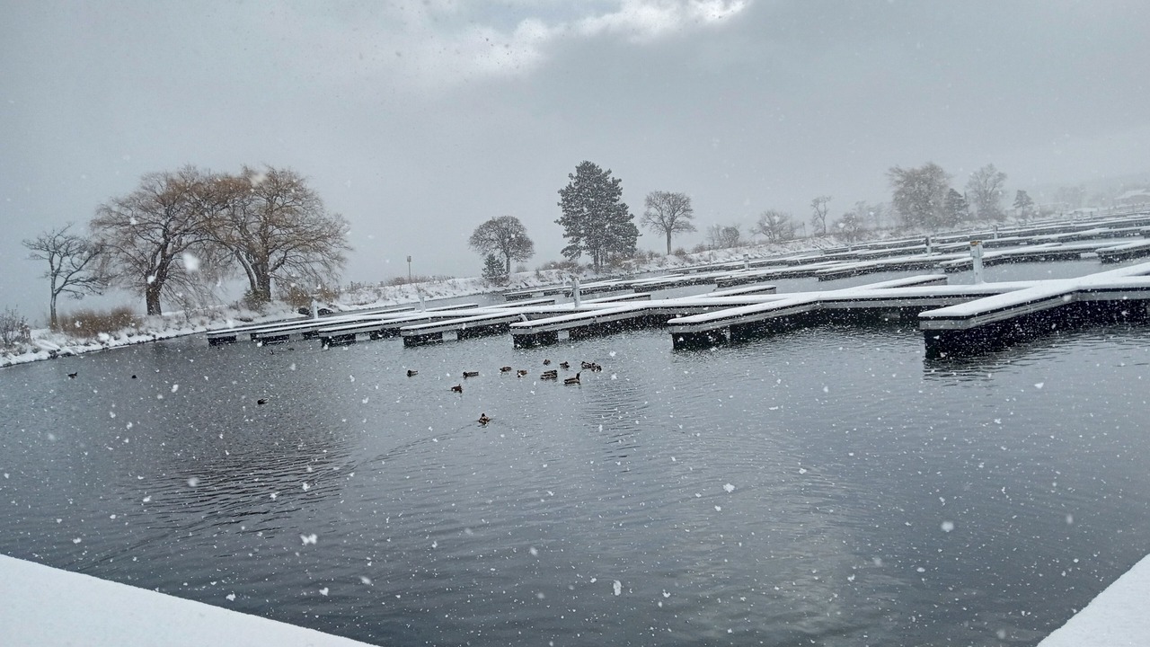 Photo of Others in Barrie