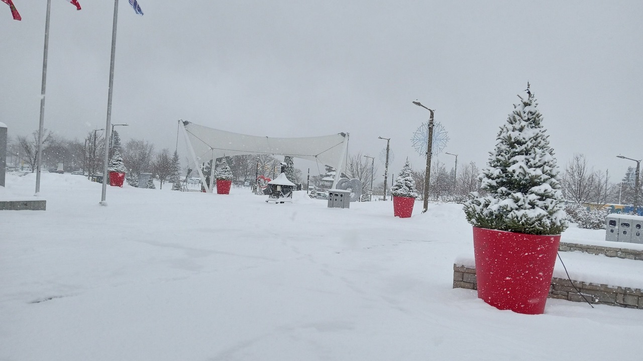 Photo of Others in Barrie