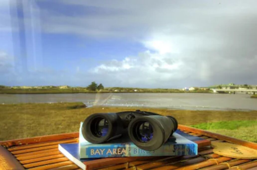 Photo of Others in Moss Landing