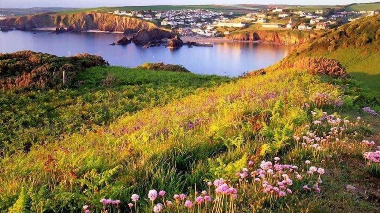 Photo of Others in Torquay