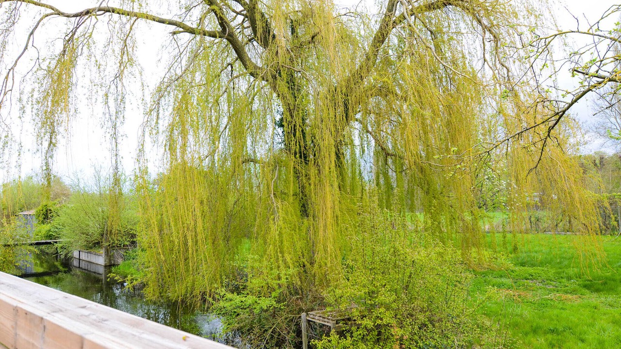 Photo of Others in Noyelles-sur-Mer