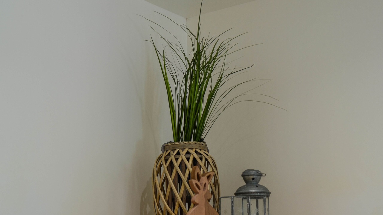 Photo of Others in Noyelles-sur-Mer