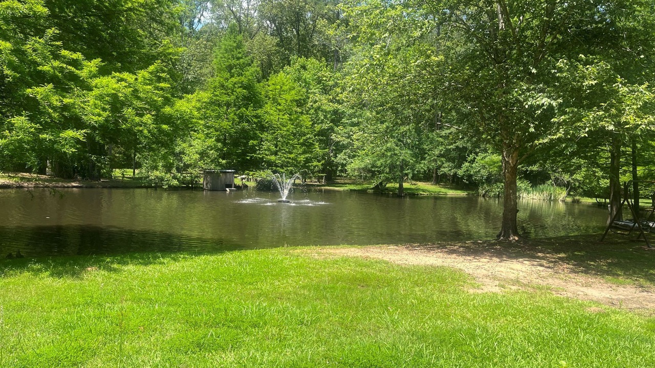Photo of Outdoor in Bethany