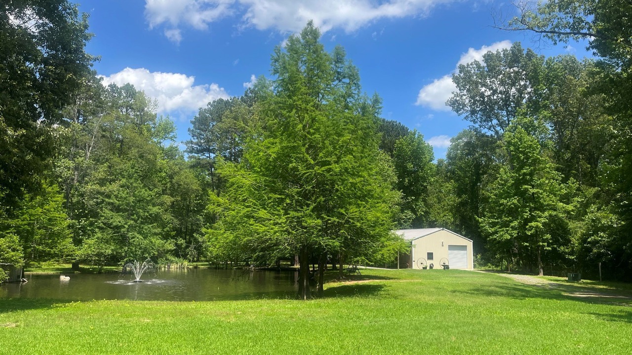 Photo of Outdoor in Bethany