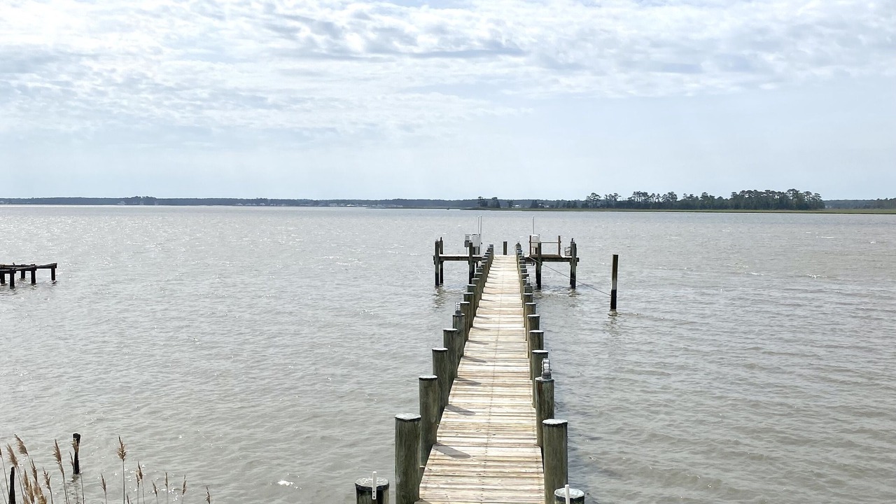 Photo of Others in Millsboro