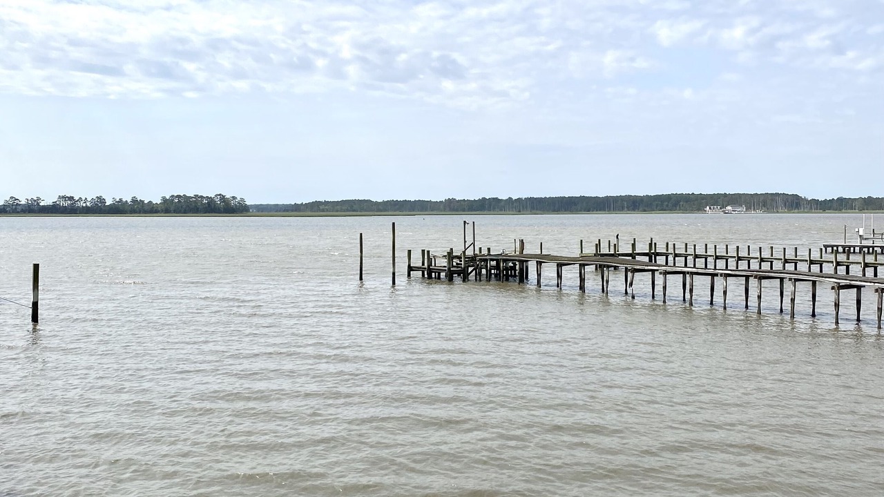 Photo of Others in Millsboro