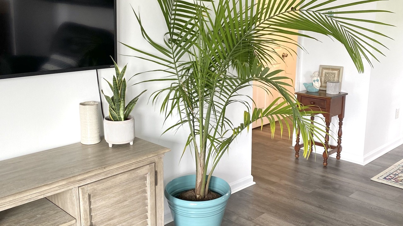 Photo of Others in Millsboro