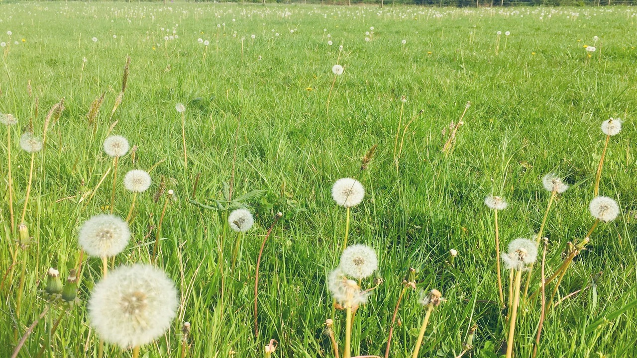 Photo of Outdoor in Southwell