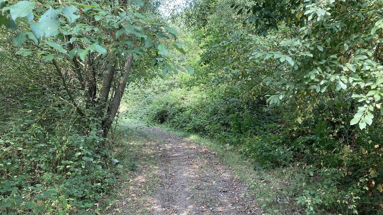 Photo of Outdoor in Southwell