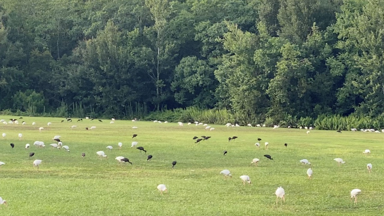 Photo of Outdoor in Park Lake Estates