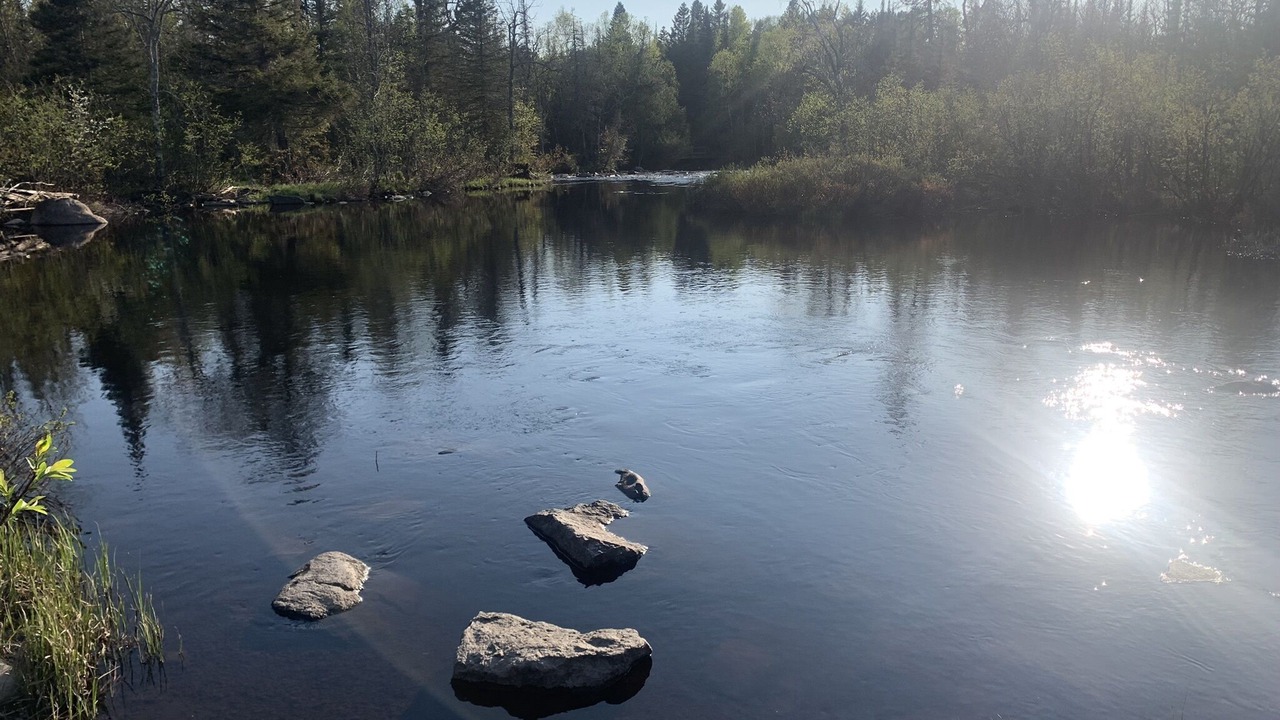 Photo of Outdoor in Silver Bay