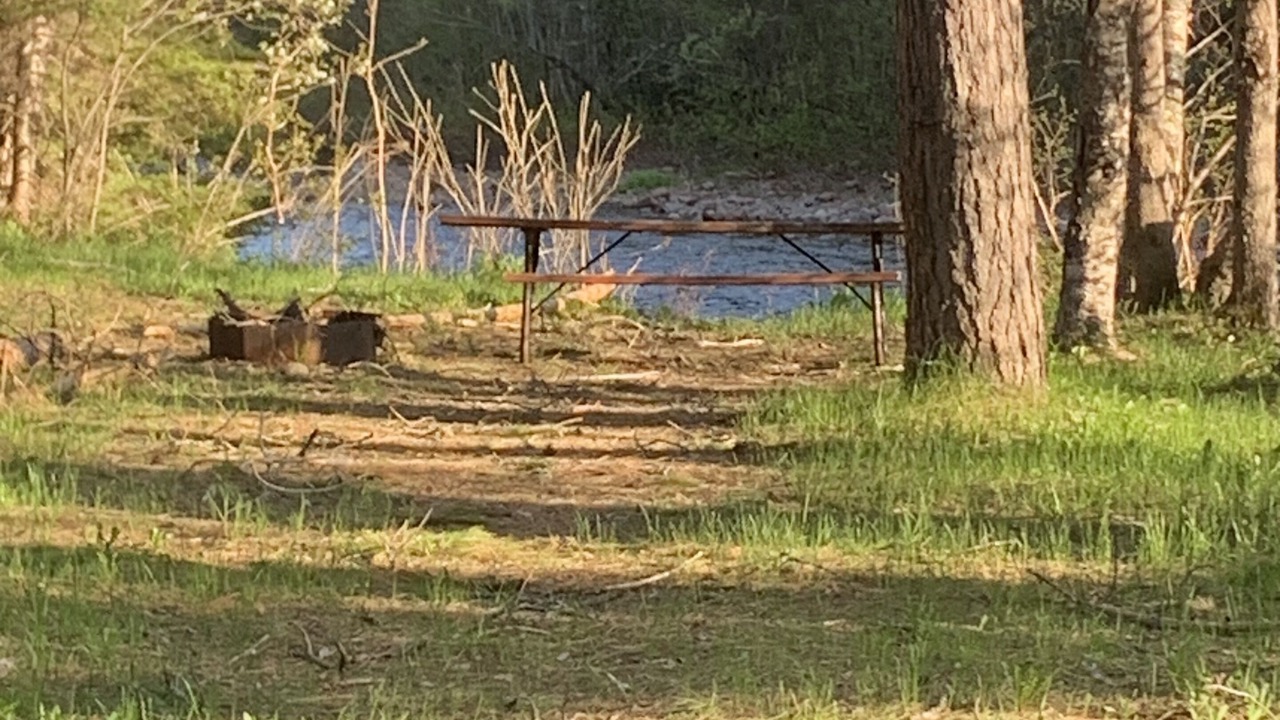 Photo of Others in Silver Bay