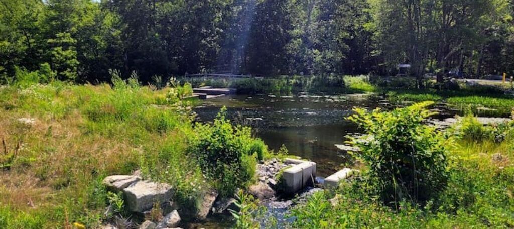 Photo of Outdoor in Brooksville