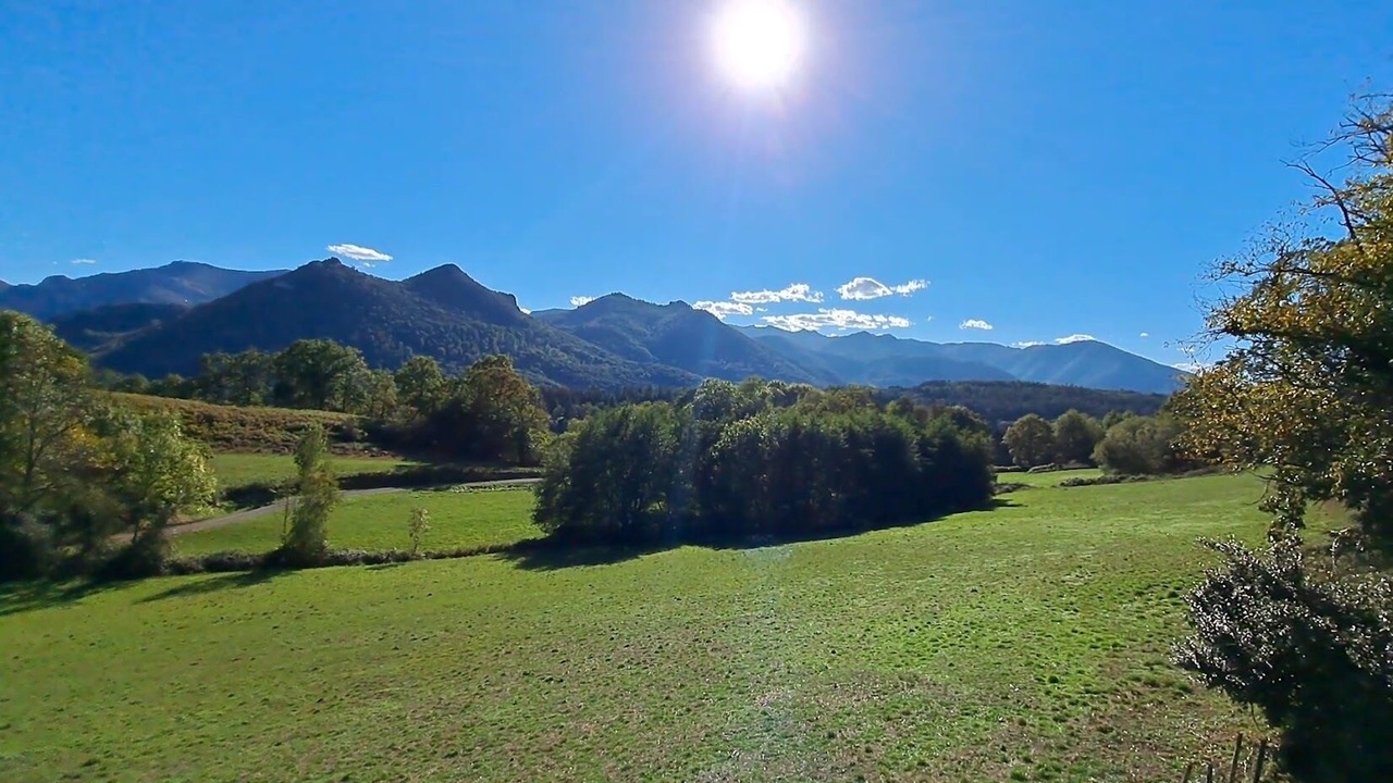 Photo of Others in Poueyferre