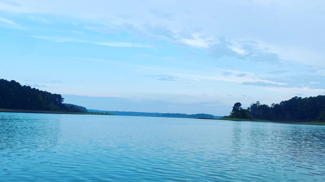 Photo of Others in Bismarck