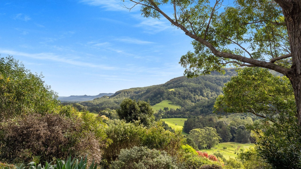 Photo of Others in Wattamolla