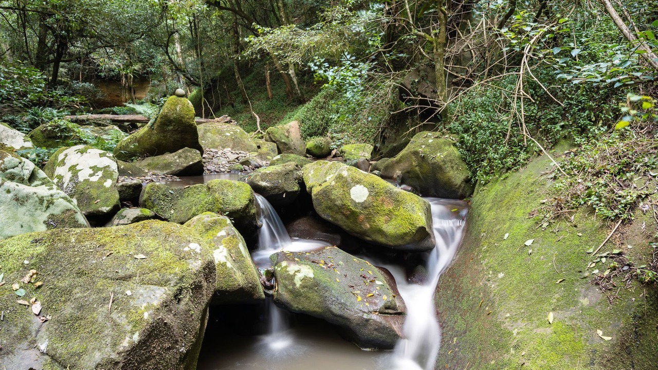 Photo of Others in Wattamolla