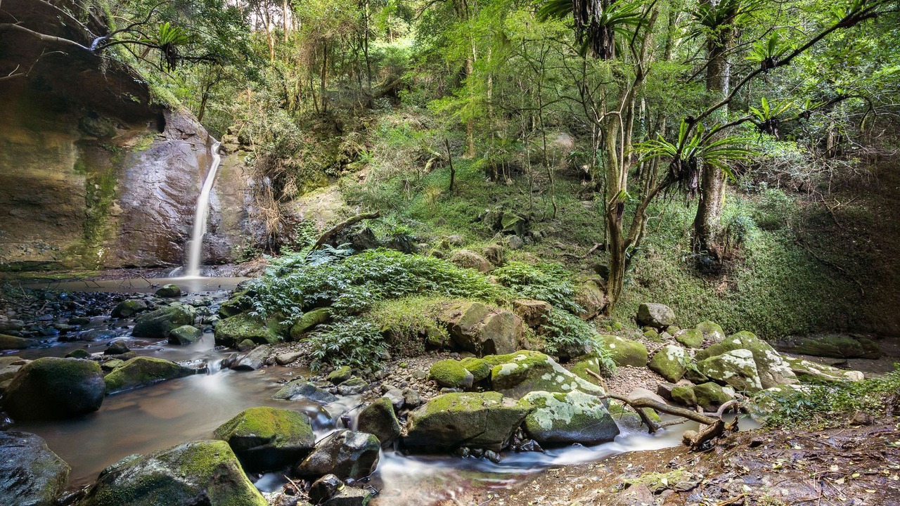 Photo of Others in Wattamolla