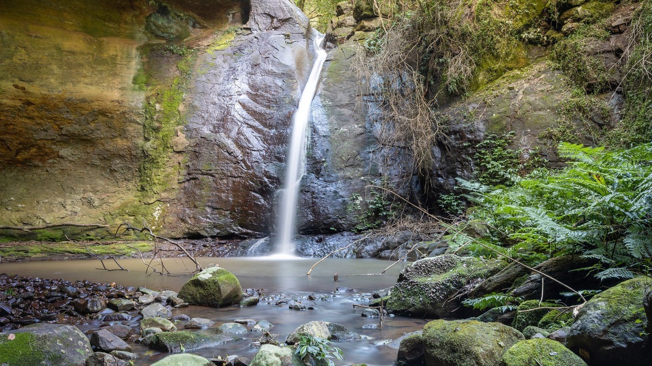 Photo of Outdoor in Wattamolla