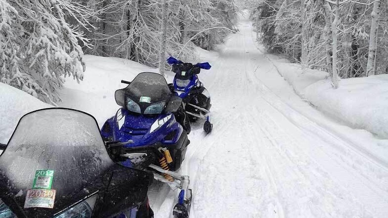 Photo of Others in Pequot Lakes