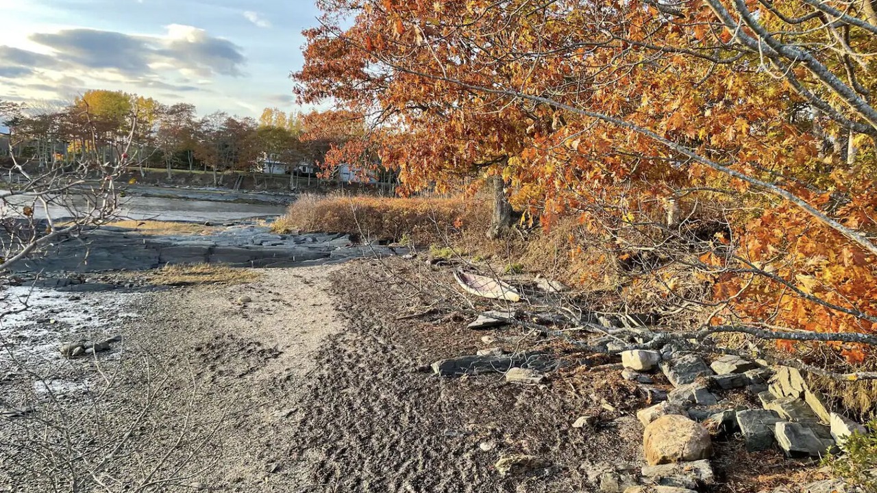 Photo of Others in Topsham