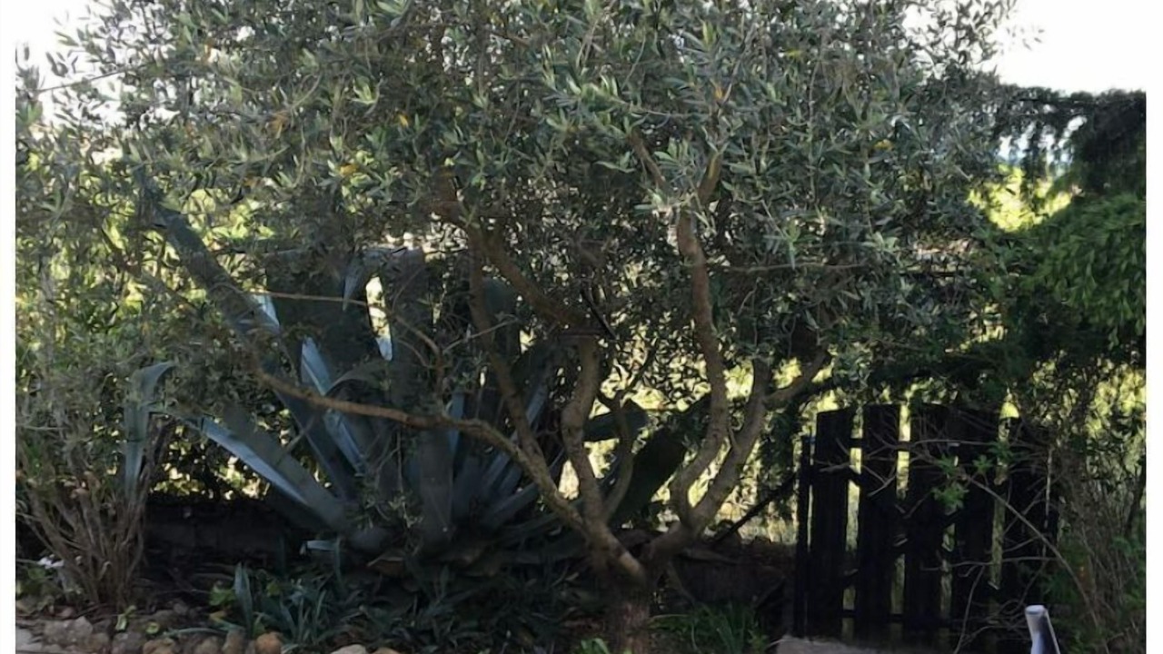 Photo of Outdoor in Vagnas
