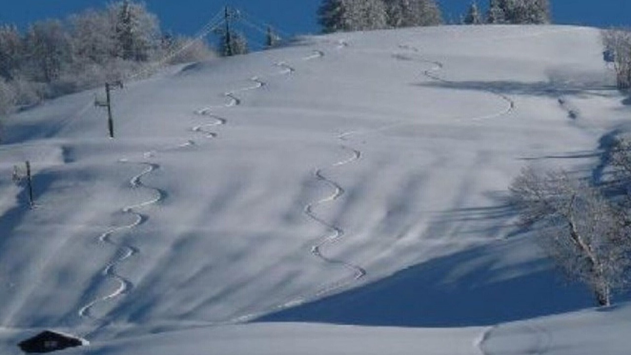 Photo of Others in Cohennoz