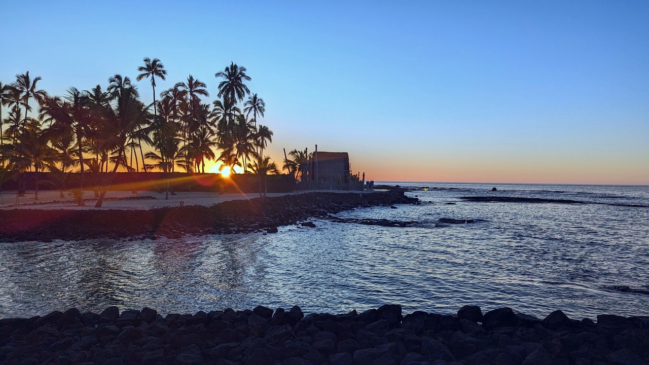 Photo of Others in Captain Cook