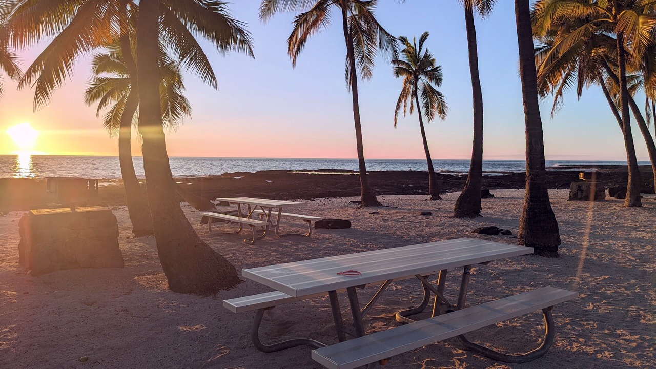 Photo of Others in Captain Cook