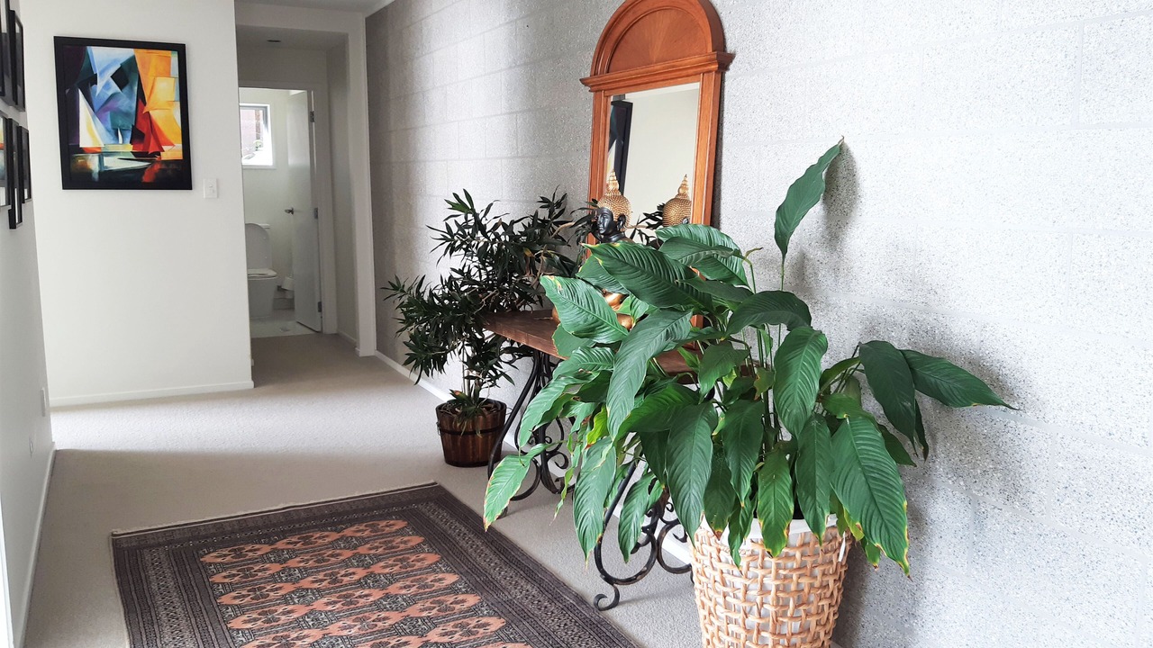 Photo of Others in Clarks Beach