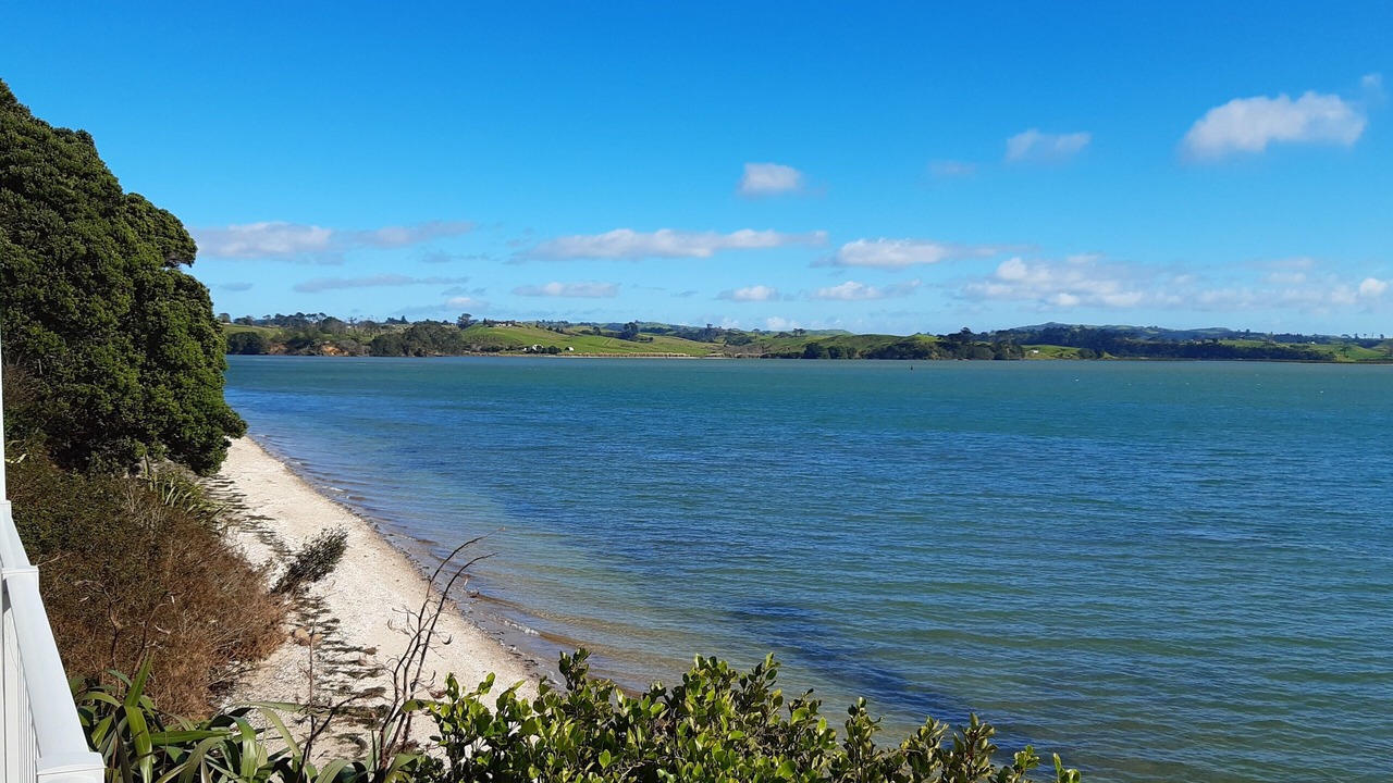 Photo of Others in Clarks Beach
