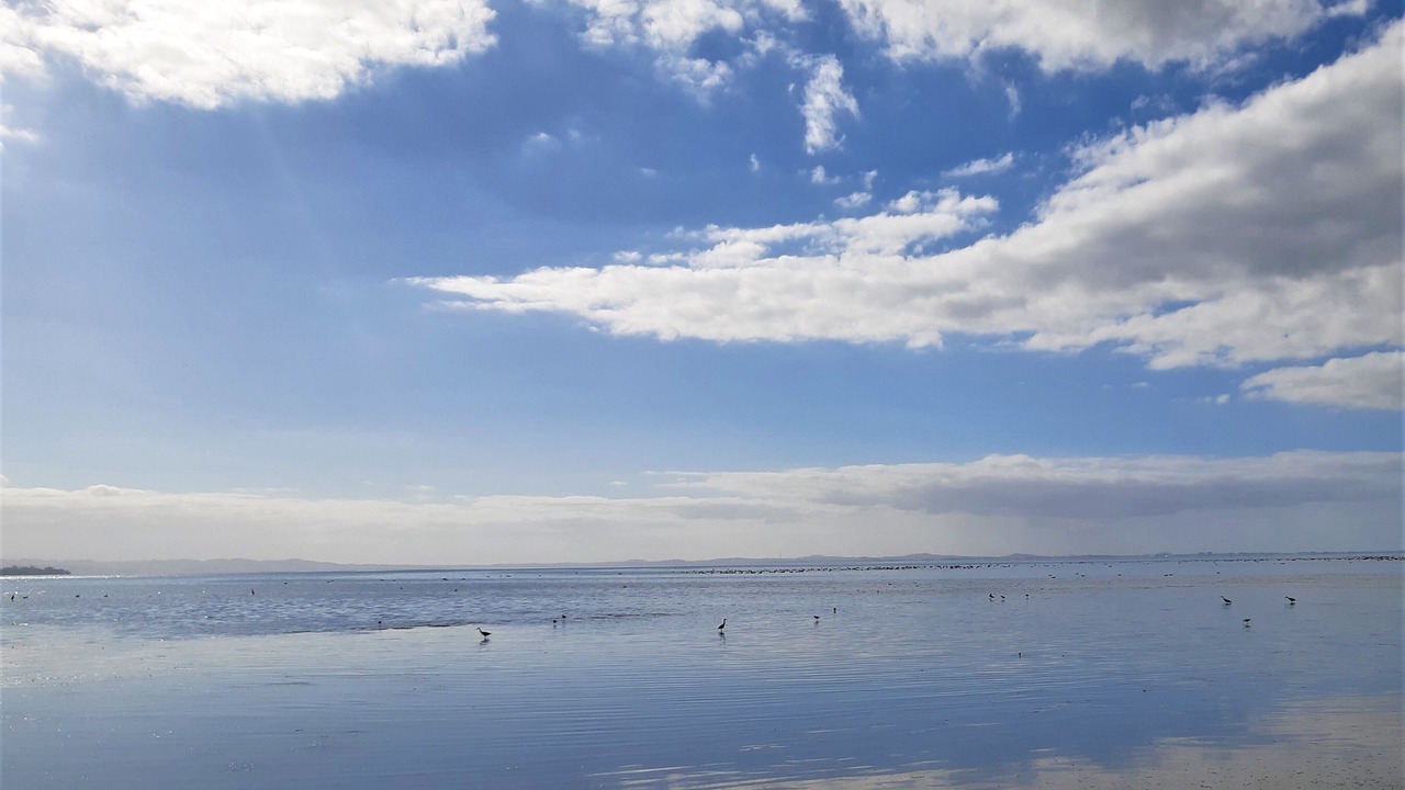 Photo of Others in Clarks Beach