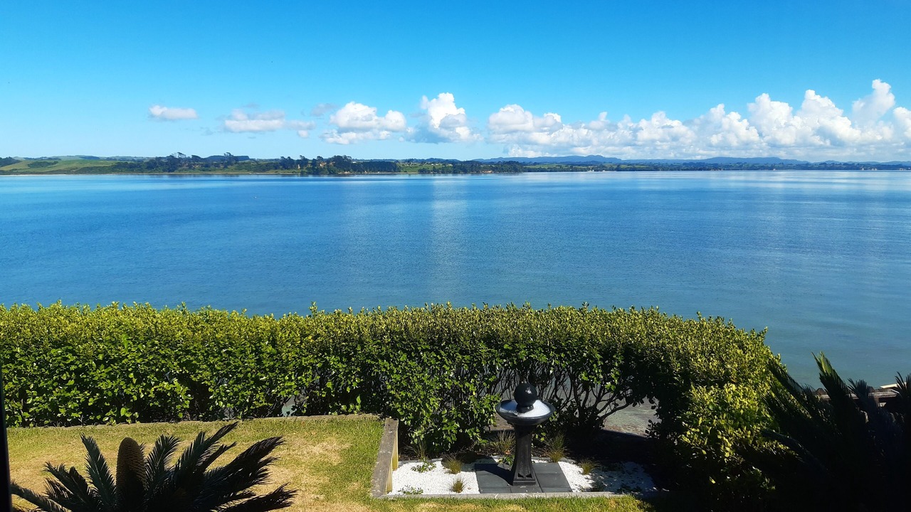 Photo of Others in Clarks Beach