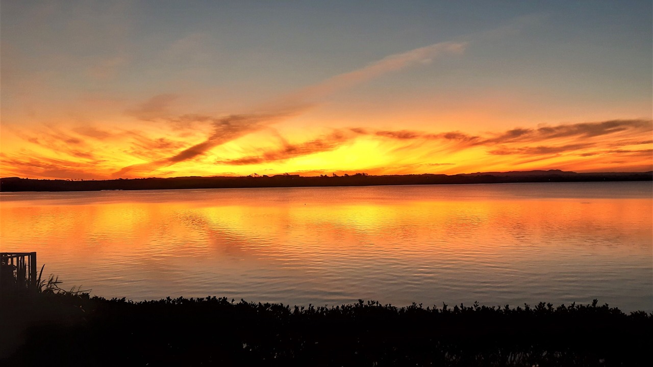 Photo of Others in Clarks Beach