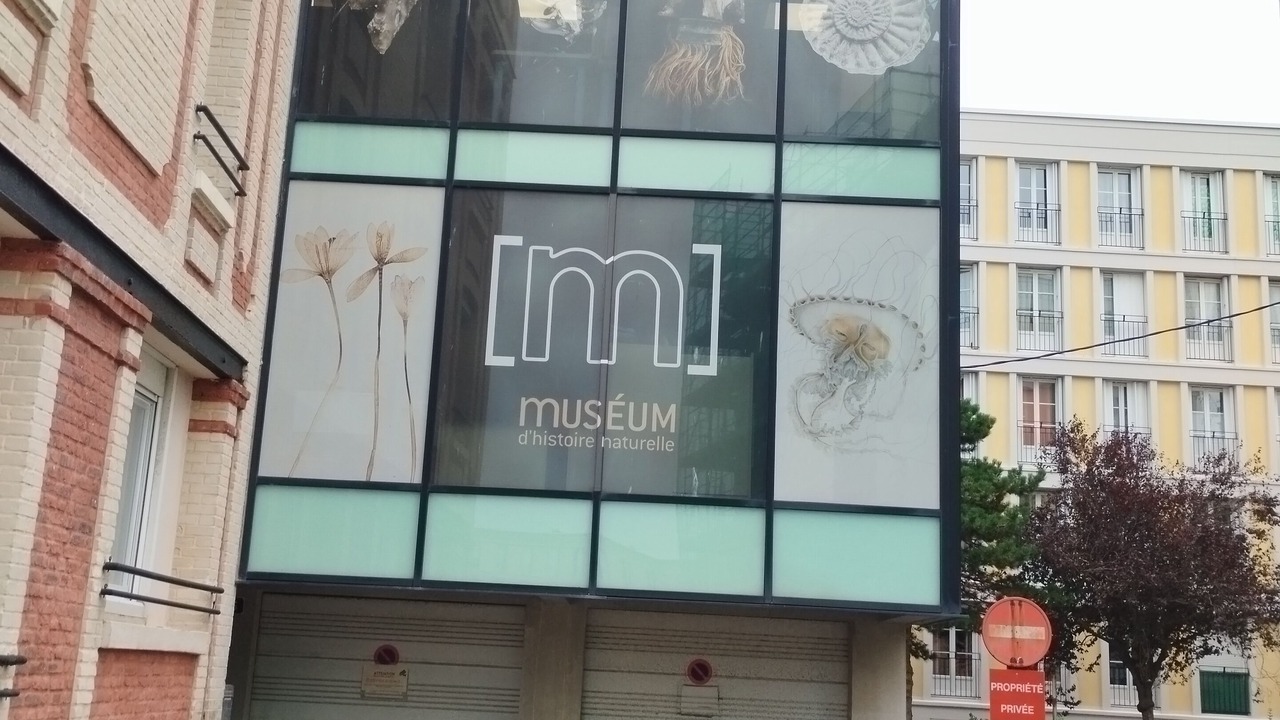 Photo of Outdoor in Downtown Le Havre