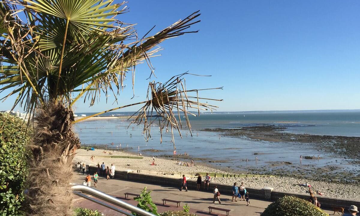 Photo of Others in Downtown Le Havre