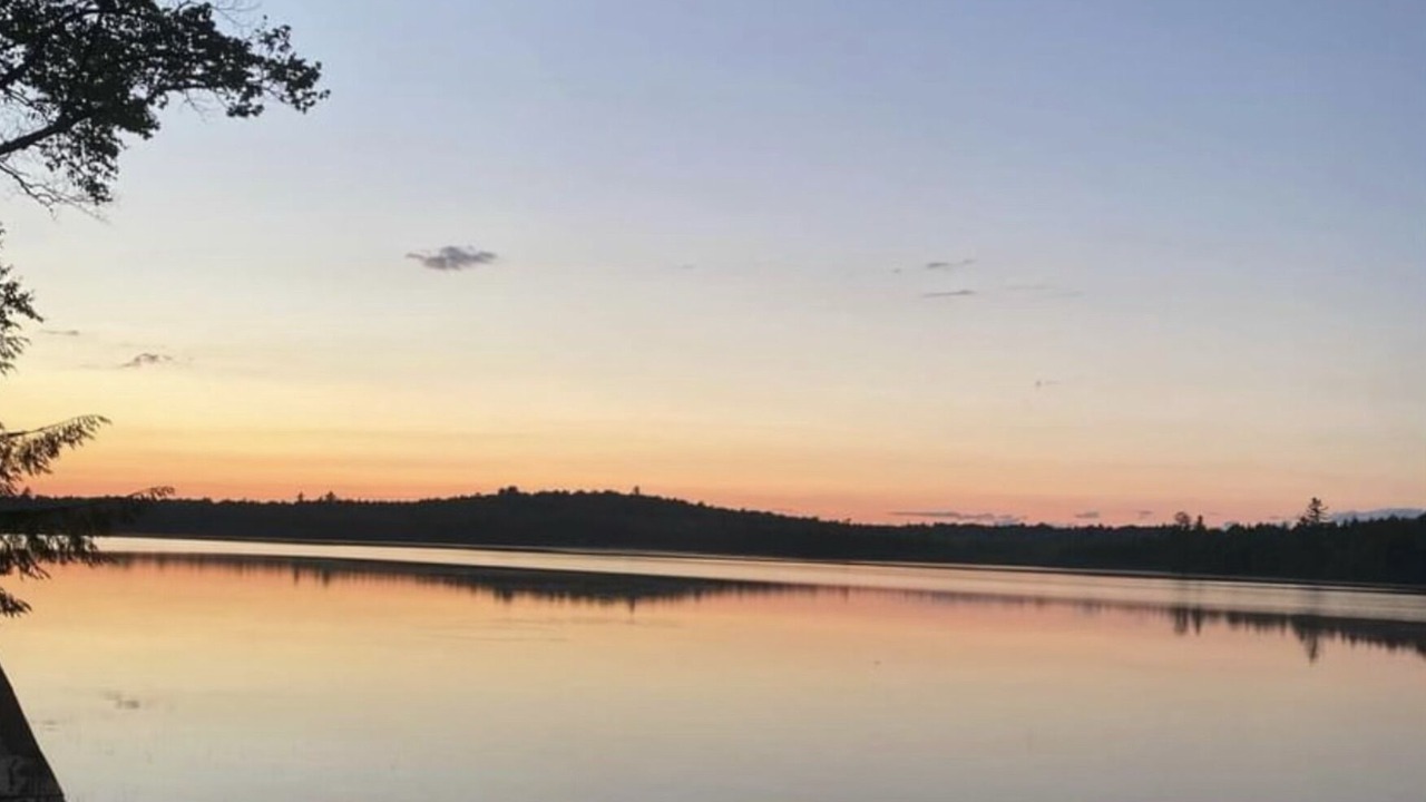 Photo of Others in Lincoln