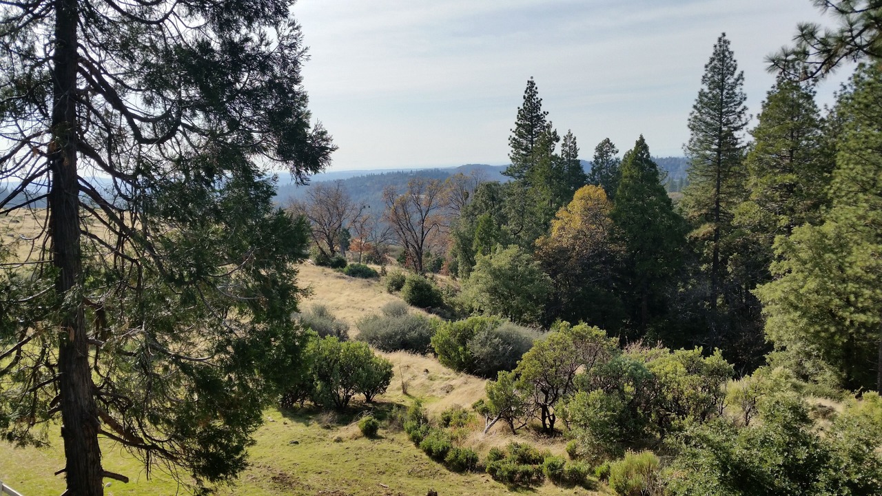Photo of Others in Placerville