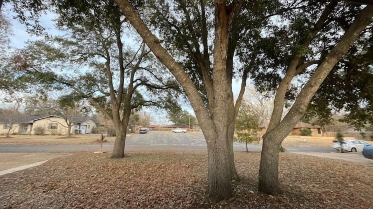 Photo of Outdoor in Taylor