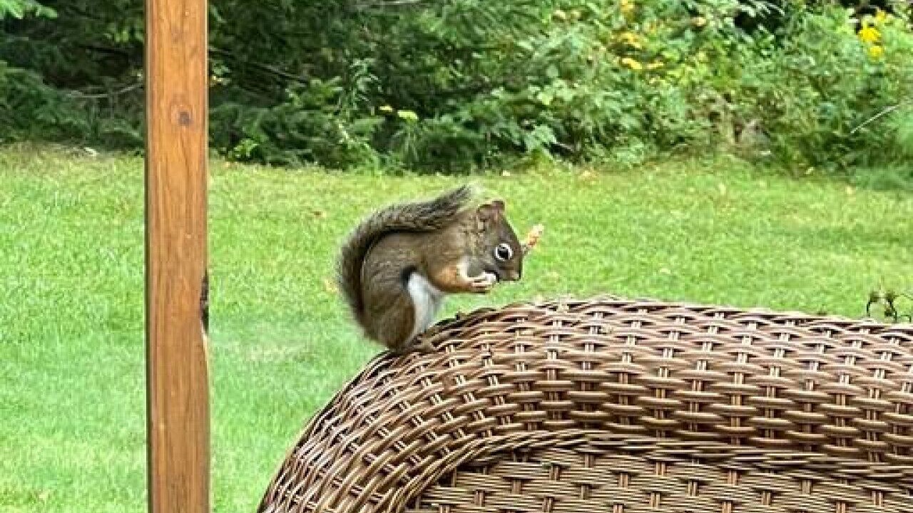 Photo of Outdoor in Tupper Lake