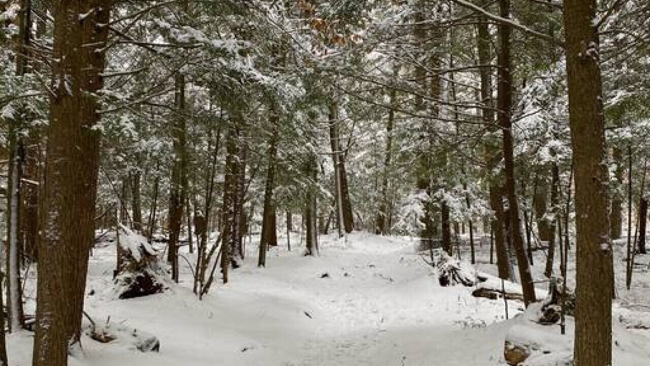 Photo of Others in Tupper Lake