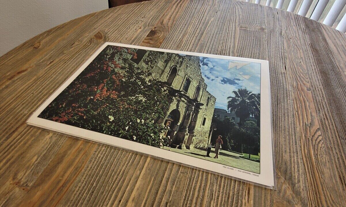 Photo of Others in San Antonio