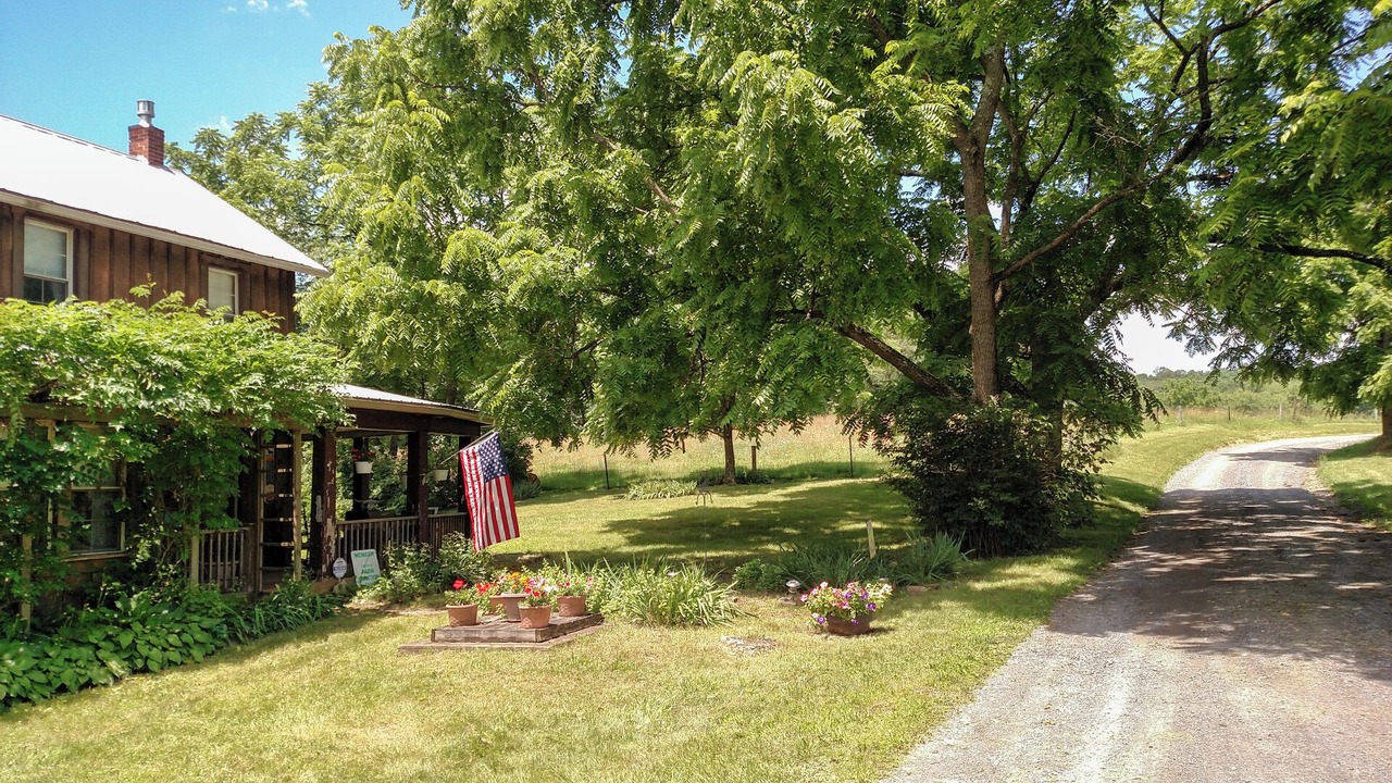 Photo of Outdoor in Harrisonville