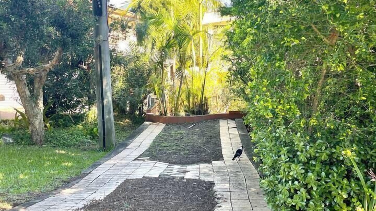 Photo of Others in Springwood